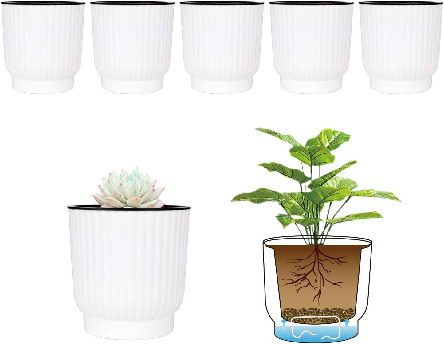 T4U Plastic Self Watering Planter Pots for Home Decoration