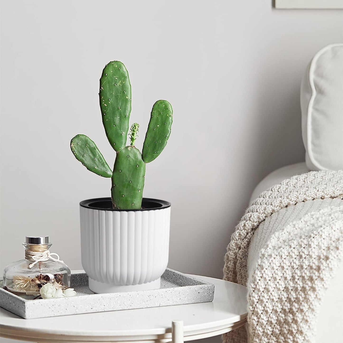 T4U Plastic Self Watering Planter Pots for Home Decoration