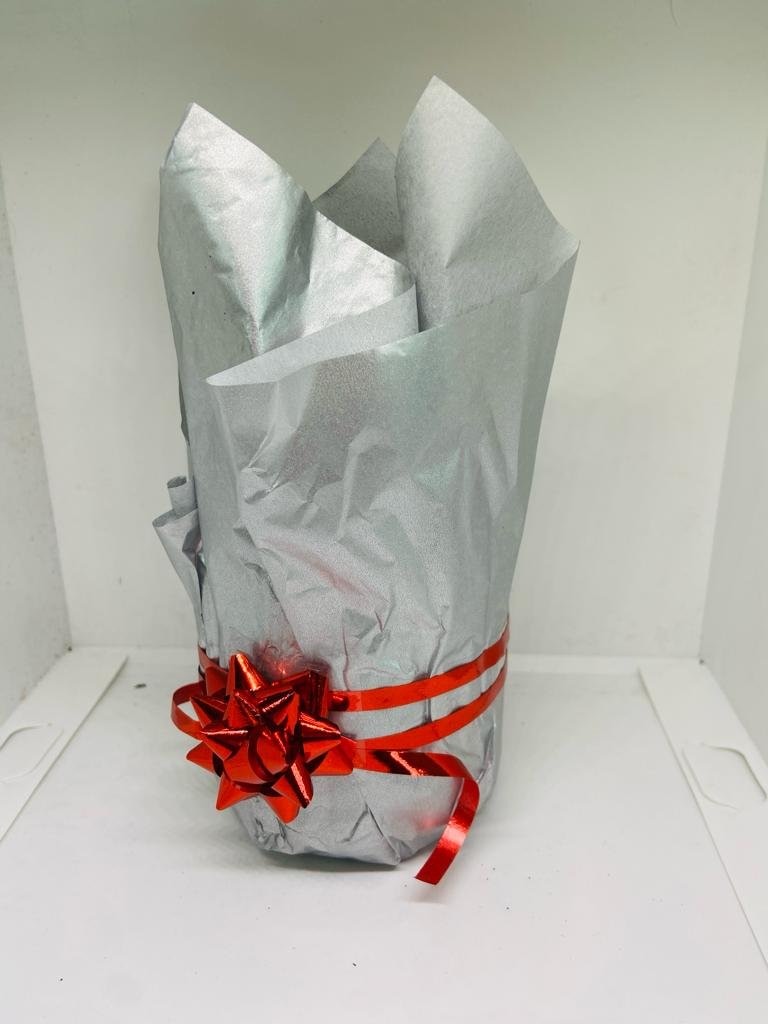 Echeveria Morning Beauty - A Elegance and Charm Gift