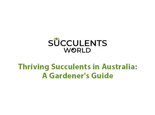 Growing Succulents in Australia: A Climate-by-Climate Guide