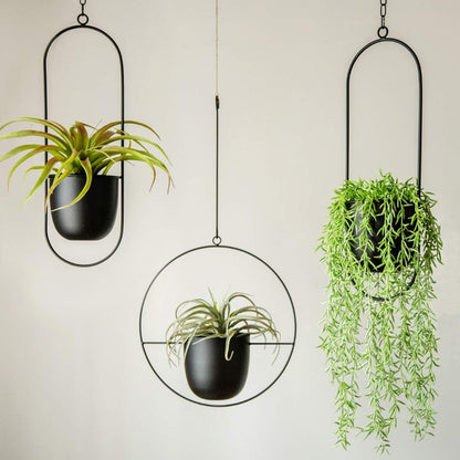 Black Metal Plant Hanger