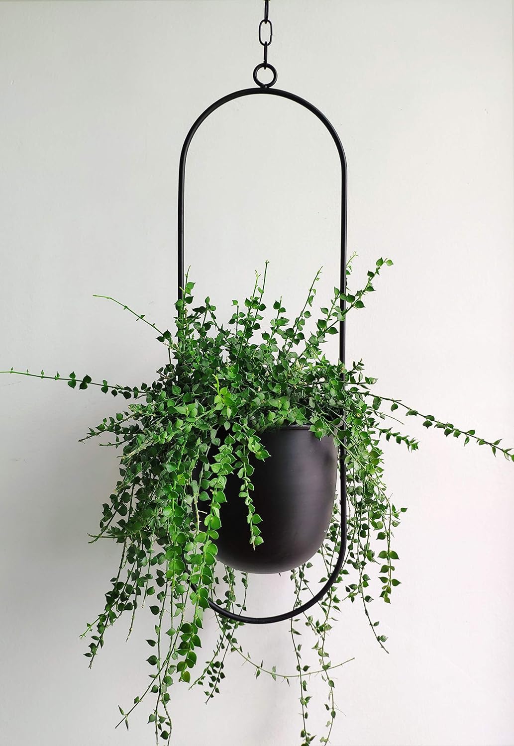 Black Metal Plant Hanger