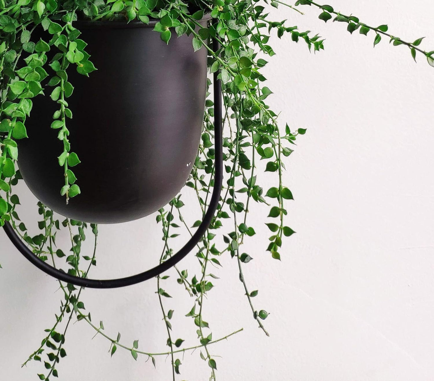 Black Metal Plant Hanger