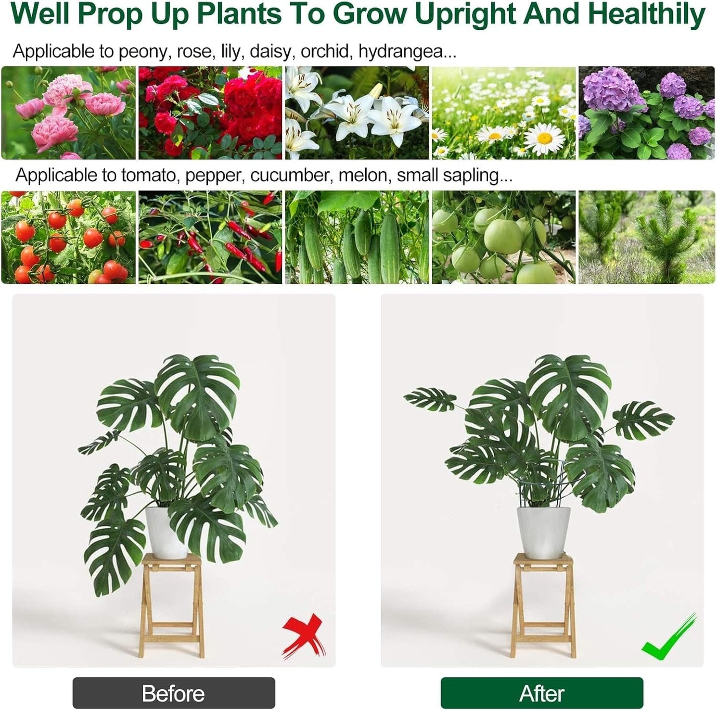 8 Pcs Plant Support Stakes Half Round Plant Support Stake